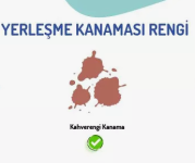 1762285835257.png