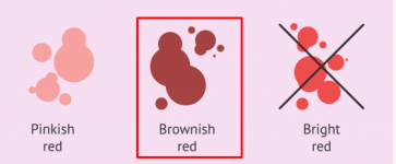 1762285895211.png